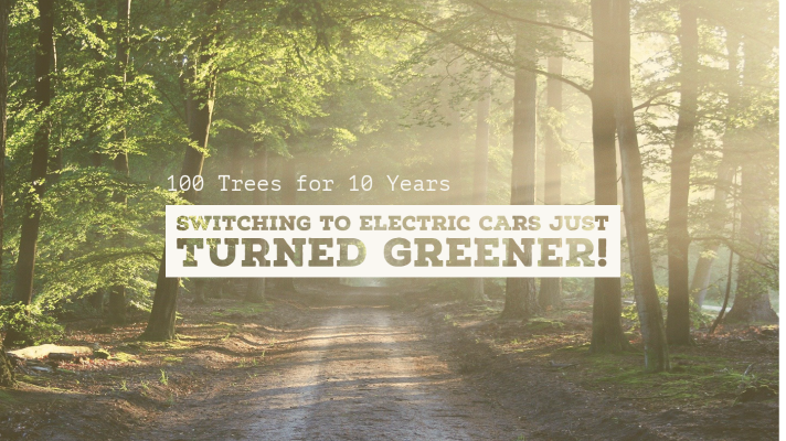 100 Trees for 10 Years: Switching to Electric Cars just Turned Greener! - Fleet Evolution, Tamworth
