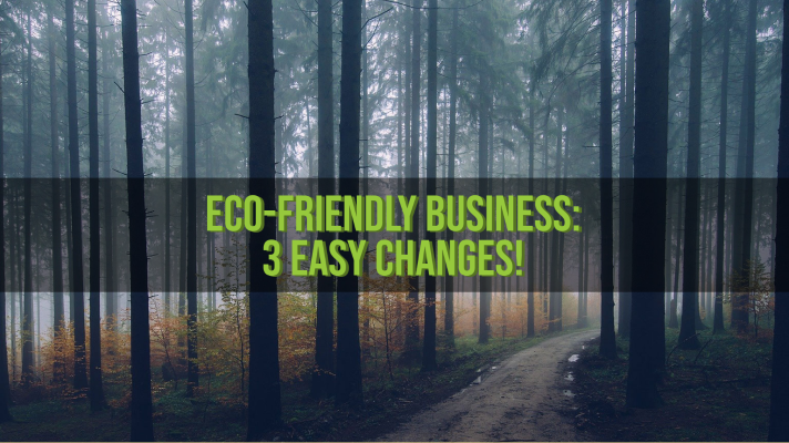 Eco-Friendly Business: 3 Easy Changes! - Fleet Evolution, Tamworth