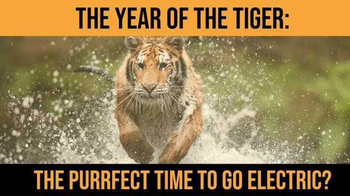 Why The Year of The Tiger Could Be the Purrfect Time to Make the Move to An Electric Car - Fleet Evolution, Tamworth